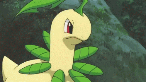 bayleef pokemon gif bayleef pokemon discover share gifs