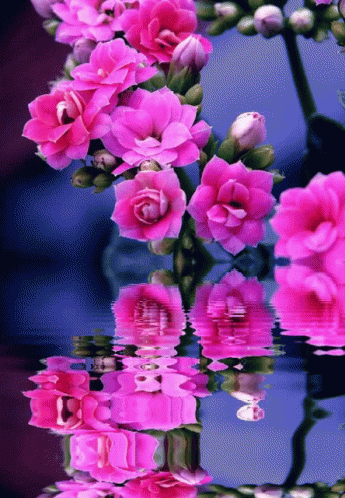 Floral Flower GIF - Floral Flower - Discover & Share GIFs