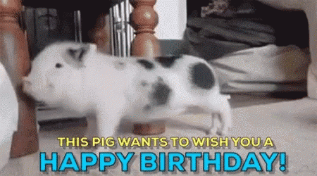Happy Birthday Anniversary Gif Happybirthday Anniversary Anniversaire Discover Share Gifs Happy Birthday Anniversary Gif Happybirthday Anniversary Anniversaire Discover Share Gifs