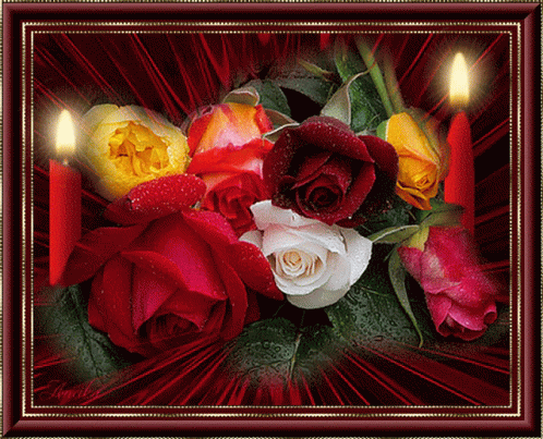 Beautiful Red Roses GIF - Beautiful RedRoses CandleLight - Discover ...