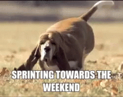 Sprinting Weekend GIF - Sprinting Weekend GIFs