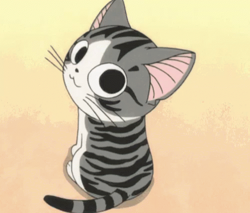 cat anime gif cat