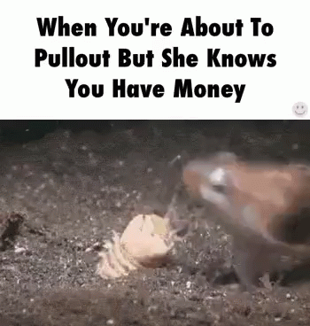 Bobbit Worm Gif 6 Bobbit Worm Gif 6