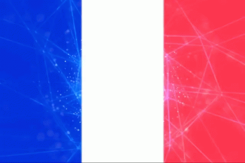 france flag tiger flags gif franceflag tigerflags shining