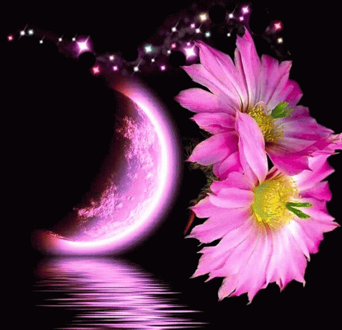 pink flowers gif pink
