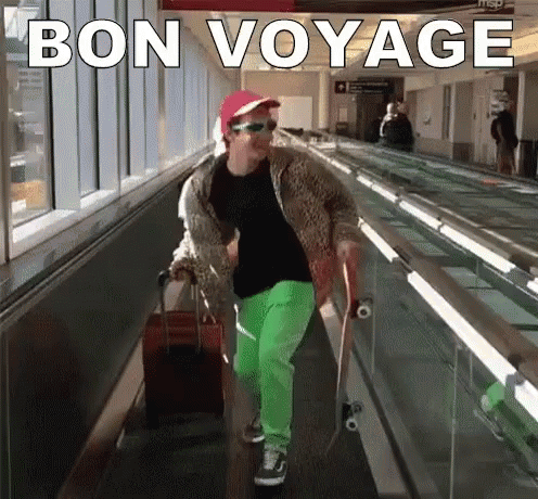 gif of bon voyage