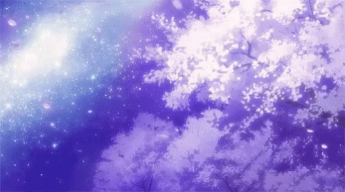 Cherry Blossom Anime Night Sky Gif : Cherry blossoms after winter ch ...
