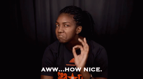 Resultado de imagen de nice gif