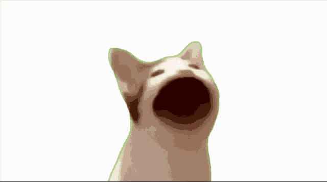 Pop Cat GIF Pop Cat Meme Discover & Share GIFs