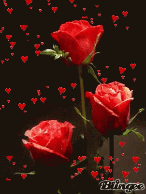  Romantic Roses GIFs Tenor