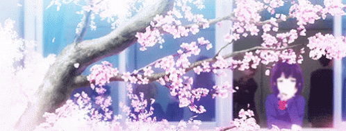 くずの本懐 桜 Gif Kuzunohonkai Skumswish Sakura Discover Share Gifs くずの本懐 桜 Gif Kuzunohonkai Skumswish Sakura Discover Share Gifs