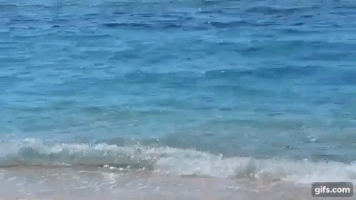 gif-beach-action