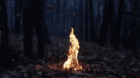 Bonfire Holy GIF - Bonfire Fire Holy - Descubre & Comparte GIFs