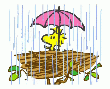 Snoopy Woodstock GIF - Snoopy Woodstock Rain GIFs