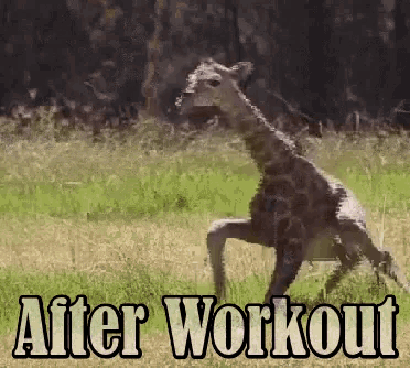 After Workout Gifs Tenor