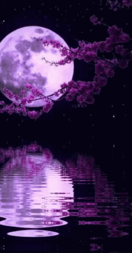 Moon Moonlight GIF - Moon Moonlight Reflection - Discover & Share GIFs
