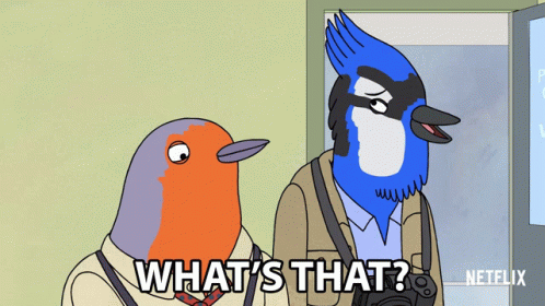 Whats That Paparazzi Blue Jay GIF - WhatsThat PaparazziBlueJay ...