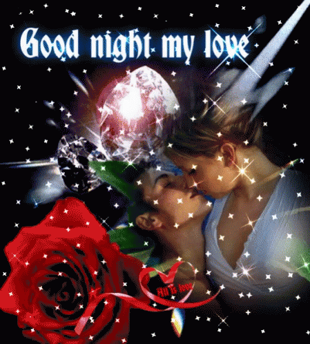  Good Night  My  Love  GIF  GoodNightMyLove Discover 