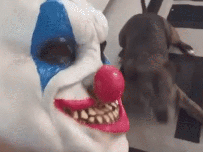 Download Dog Scared Of Clown Halloween Gif Dogscaredofclown Halloween Mask Discover Share Gifs