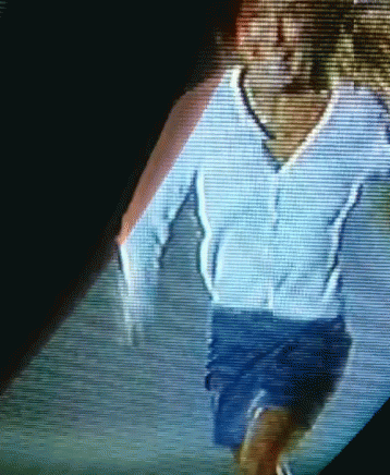 Terror Gif Terror Gifs Terror Gif Terror Gifs