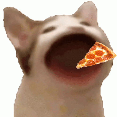 Pizza Cat GIF - Pizza Cat PizzaCat - Discover & Share GIFs