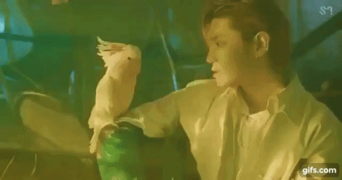 Nct Nct U Gif Nct Nctu Yestoday Discover Share Gifs