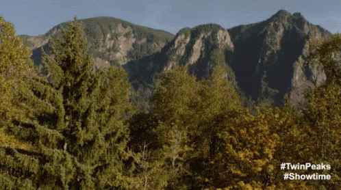 Washington State GIF TwinPeaks TwinPeaksTheReturn Washington State GIF TwinPeaks TwinPeaksTheReturn