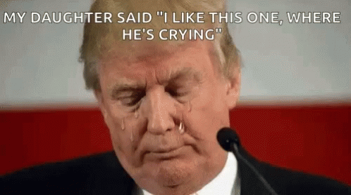 donald trump kids gif