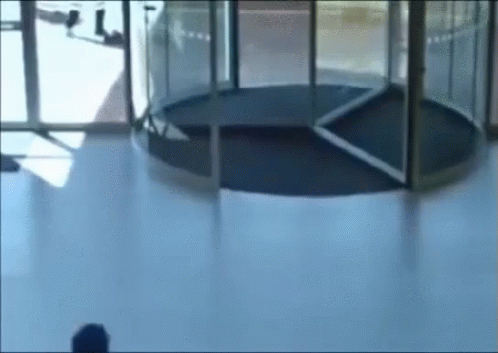 - Cat Sliding Glass Door Gif - Cat Sliding Glass Door Gif