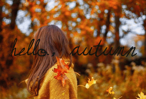 Image result for autumn gif