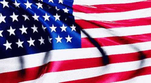 American Flag Usa GIF - AmericanFlag Usa America GIFs