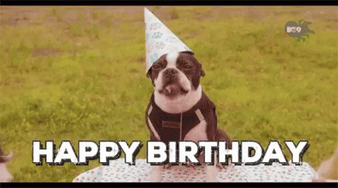 Happybirthday Dog Gif Happybirthday Dog Cute Discover Share Gifs