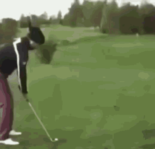 The 9 Funniest Videos Of People Getting Hit By Golf Balls