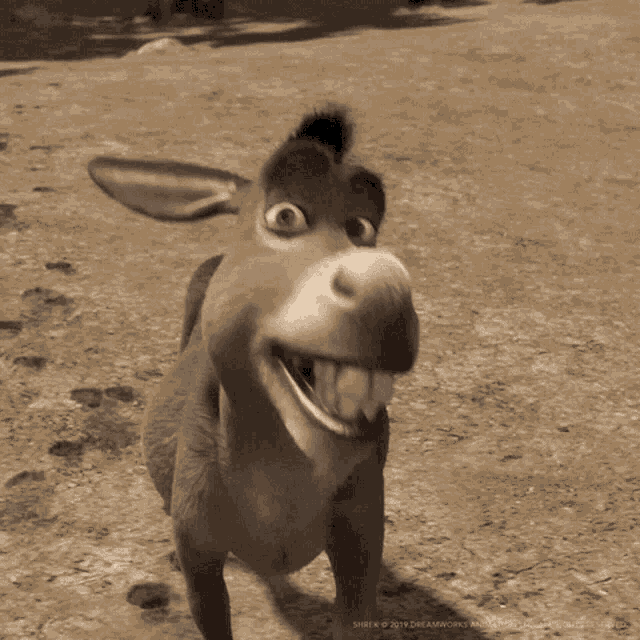 Shrek Donkey Smile GIFs | Tenor
