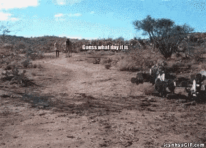 excited 420 gif excited 420 everyday discover share gifs