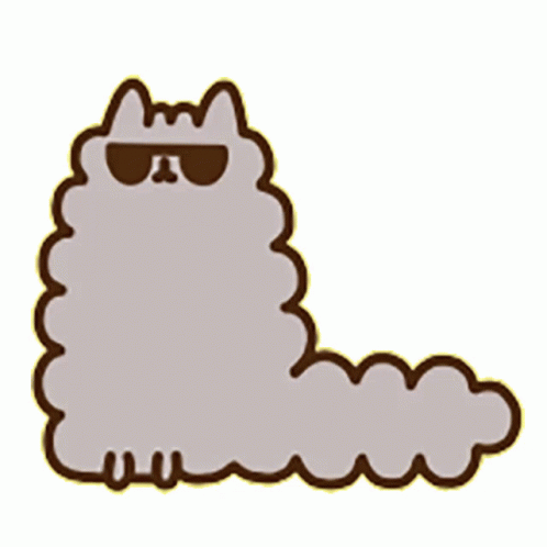 sunglasses pusheen