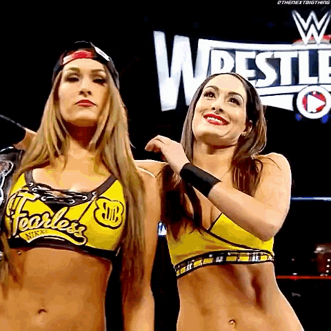 Картинки по запросу Brie Bella NIKKI
