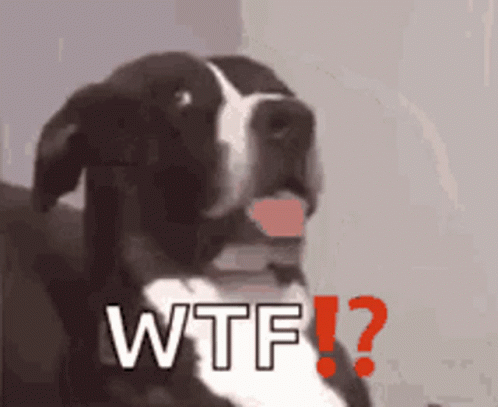 tenor.gif?itemid=17158361