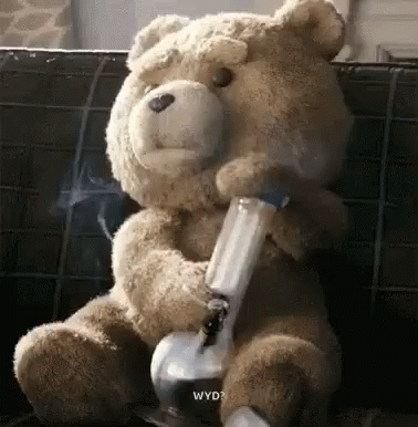 weed teddy bear