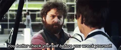 you better check yourself before you wreck yourself the hangover