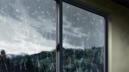 raining wet gif raining