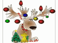 Merry Christmas Crazy GIF - MerryChristmas Crazy - Discover & Share GIFs