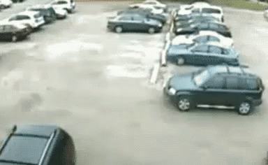 https://media1.tenor.com/images/62fd1a3cd93c7faf0498598093b7a042/tenor.gif?itemid=5394286