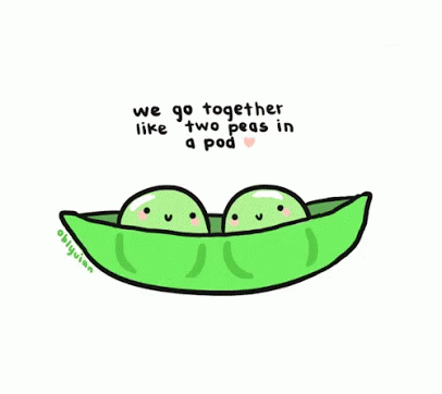 Image result for 2 peas in a pod
