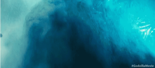 Resized Image