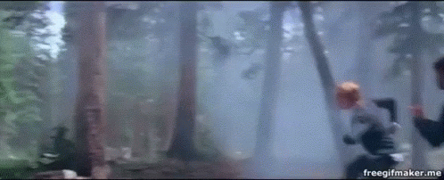 tenor.gif?itemid=10868333