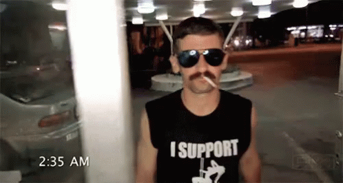 reno 911 jumping the shark bridge jumper reno 911 jumping the shark bridge jumper