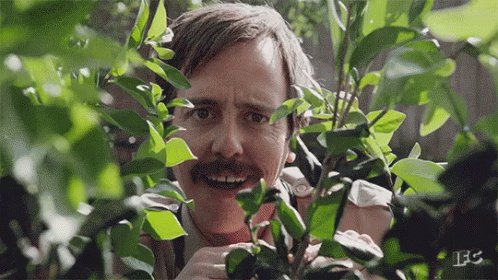Bushes Hiding GIFs | Tenor