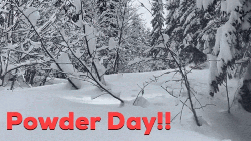 Powder Day Ski GIF - PowderDay Ski Skiing - Discover & Share GIFs
