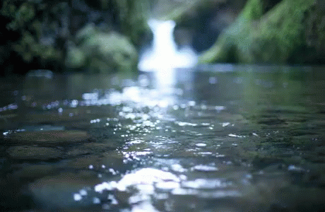 River GIF - River - Discover & Share GIFs